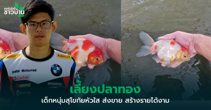 เด็กหนุ่มสุโขทัยหัวใส