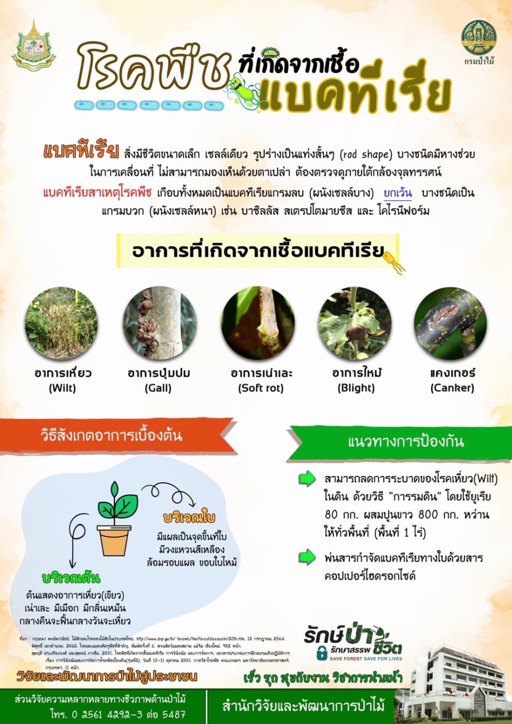 โรคพืชที่เกิดจากเชื้อแบคทีเรีย