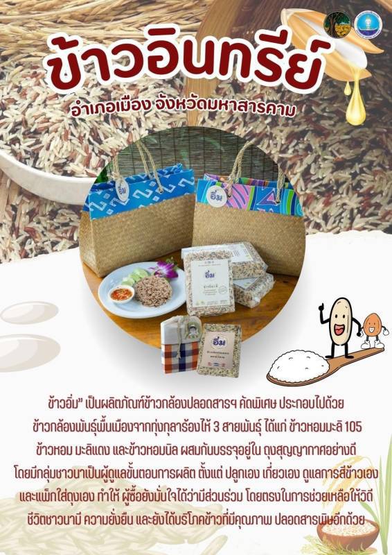 ข้าวอินทรีย์ อำเภอเมืองมหาสารคาม