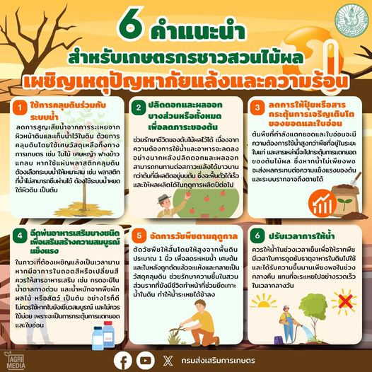 6คำแนะนำสำหรับเกษตรกรชาวสวนไม้ผล