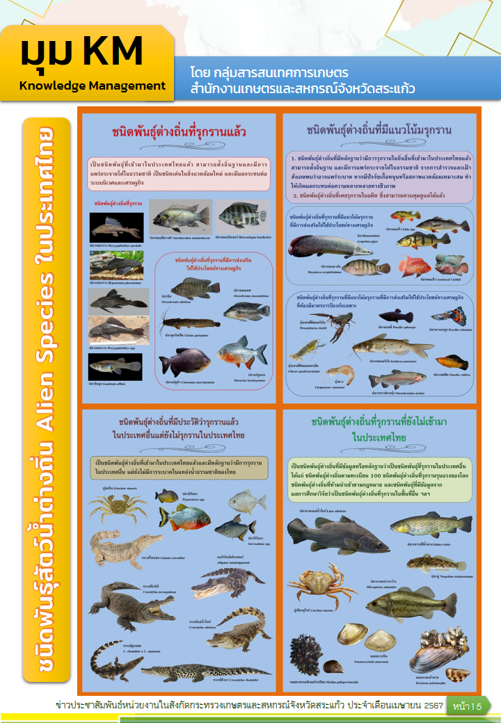 ชนิดพันธุ์สัตว์น้ำต่างถิ่น Alien Species ในประเทศไทย