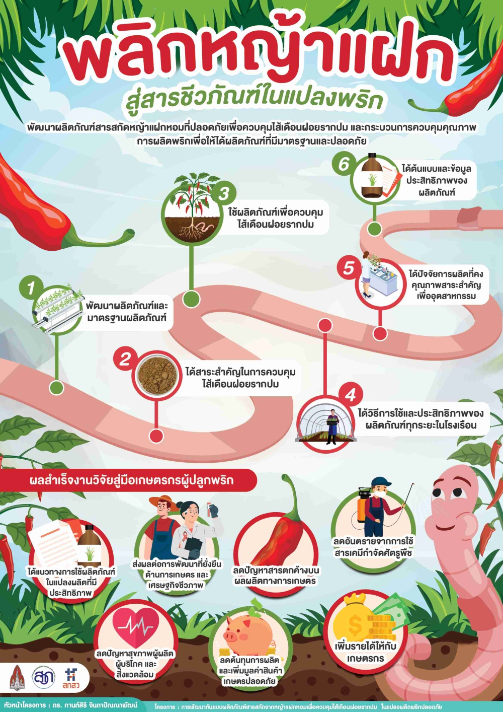 พลิกหญ้าแฝก สู่สารชีวภัณฑ์ในแปลงพริก