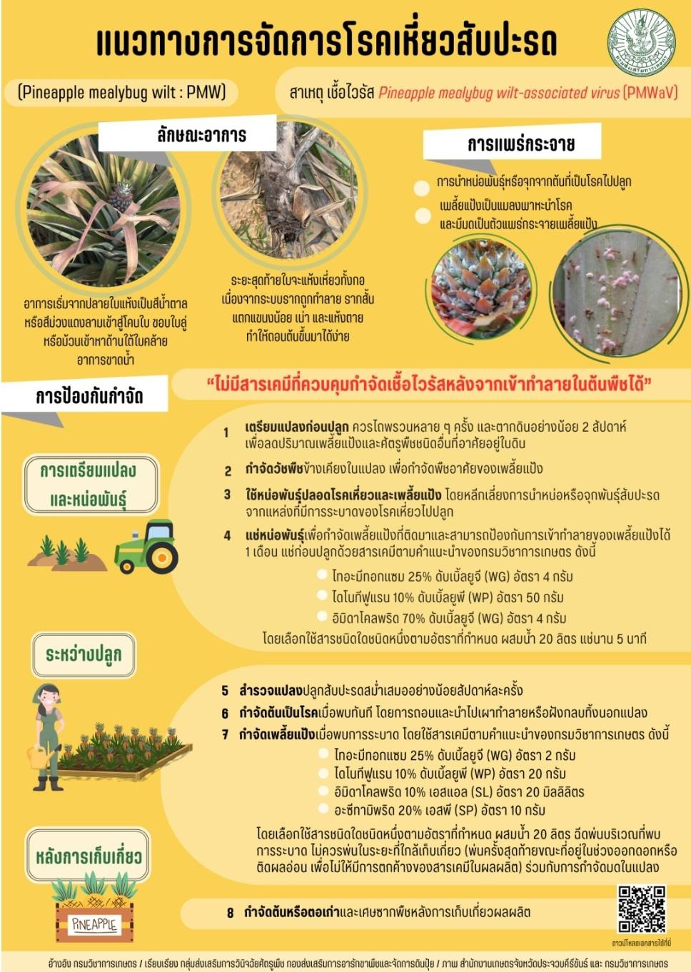 การจัดการโรคเหี่ยวสับปะรด