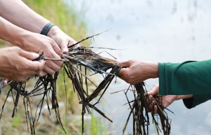 เกษตรฯร่วมมือภาคีเครือข่าย