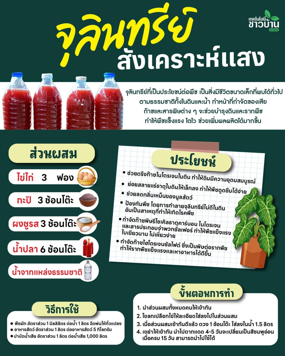 จุลินทรีย์ สัังเคราะห์แสง