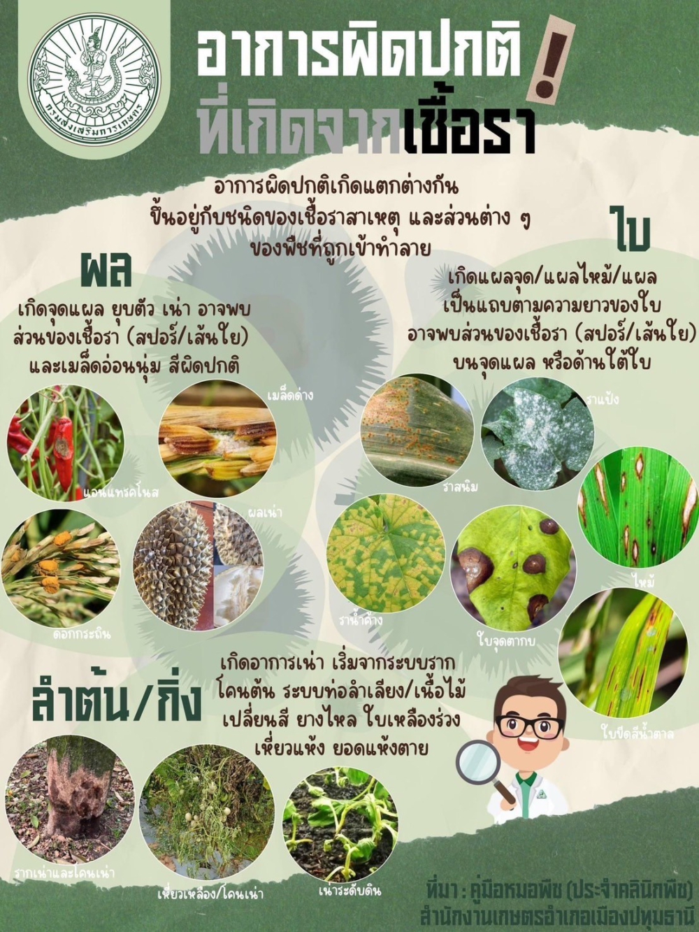 อาการผิดปกติที่เกิดจากเชื้อรา