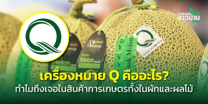 เครื่องหมายQคืออะไรทำไมถึงเจอในสินค้าการเกษตรทั้งผักและผลไม้