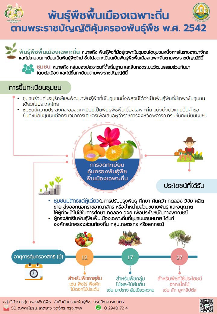 การสำรวจข้อมูลพันธุ์พืชที่มีคุณสมบัติจดทะเบียนพันธุ์พืชพื้นเมืองเฉพาะถิ่น