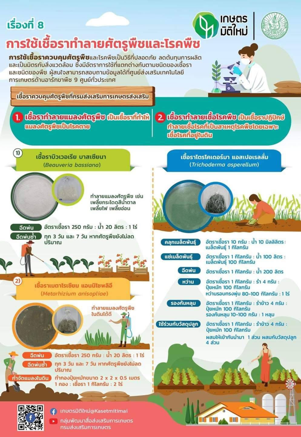 การใช้เชื้อราทำลายศัตรูพืชและโรคพืช