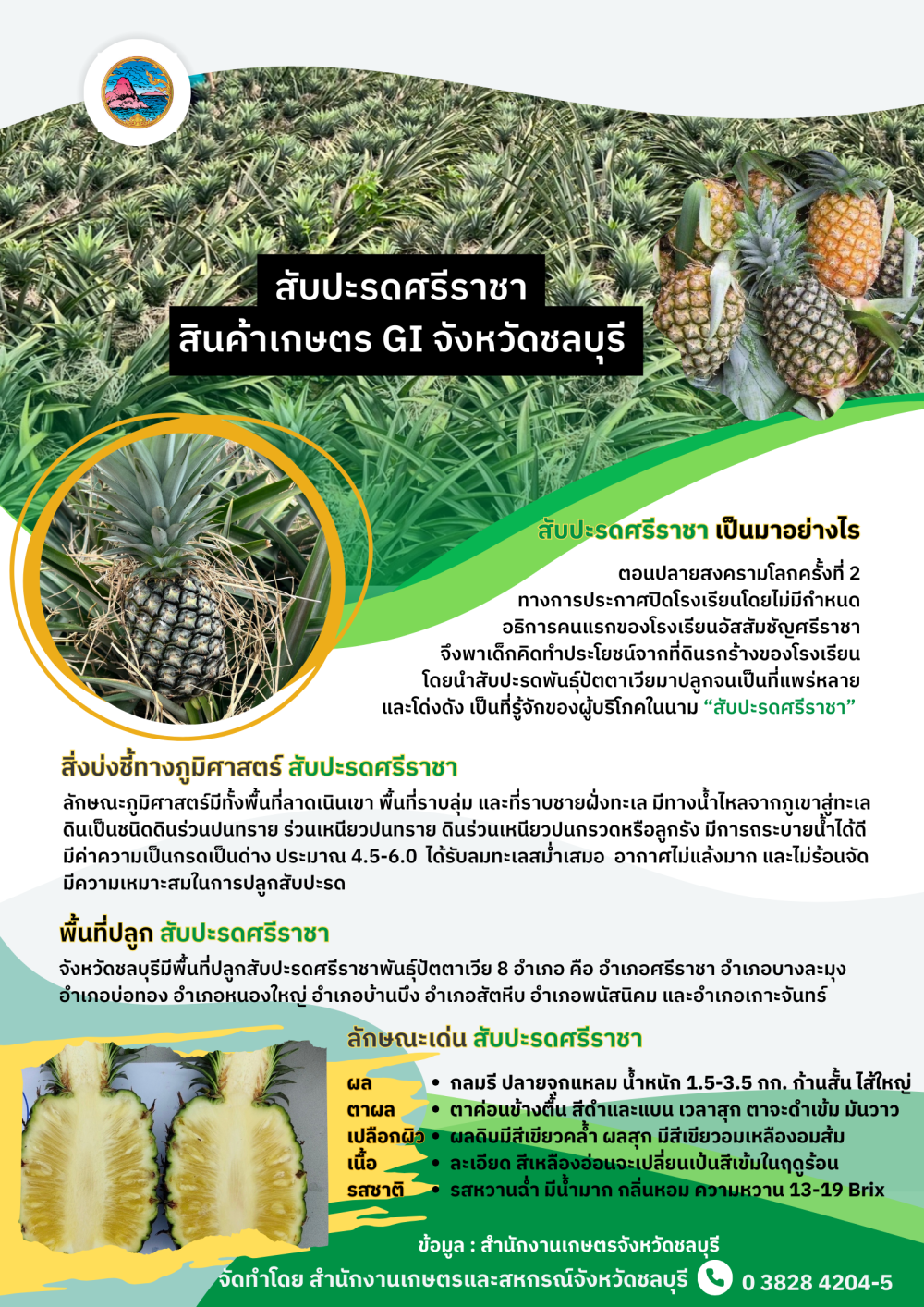 สับปะรดศรีราชา สินค้าเกษตร GI จังหวัดชลบุรี