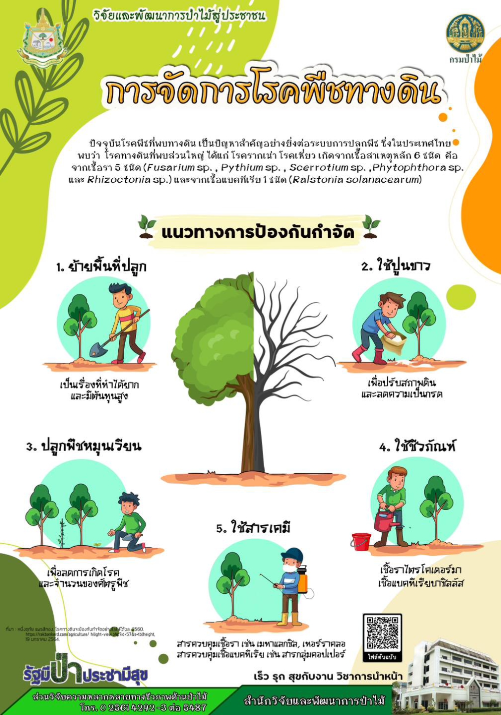 การจัดการโรคพืชทางดิน.