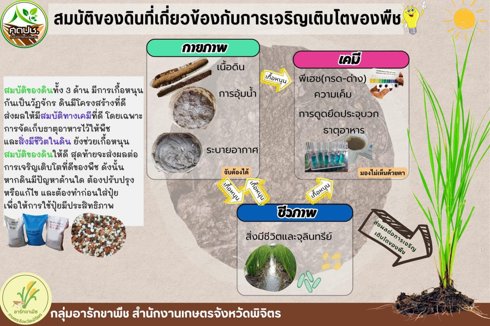 สมบัติของดินที่เกี่ยวข้องกับการเจริญเติบโตของพืช