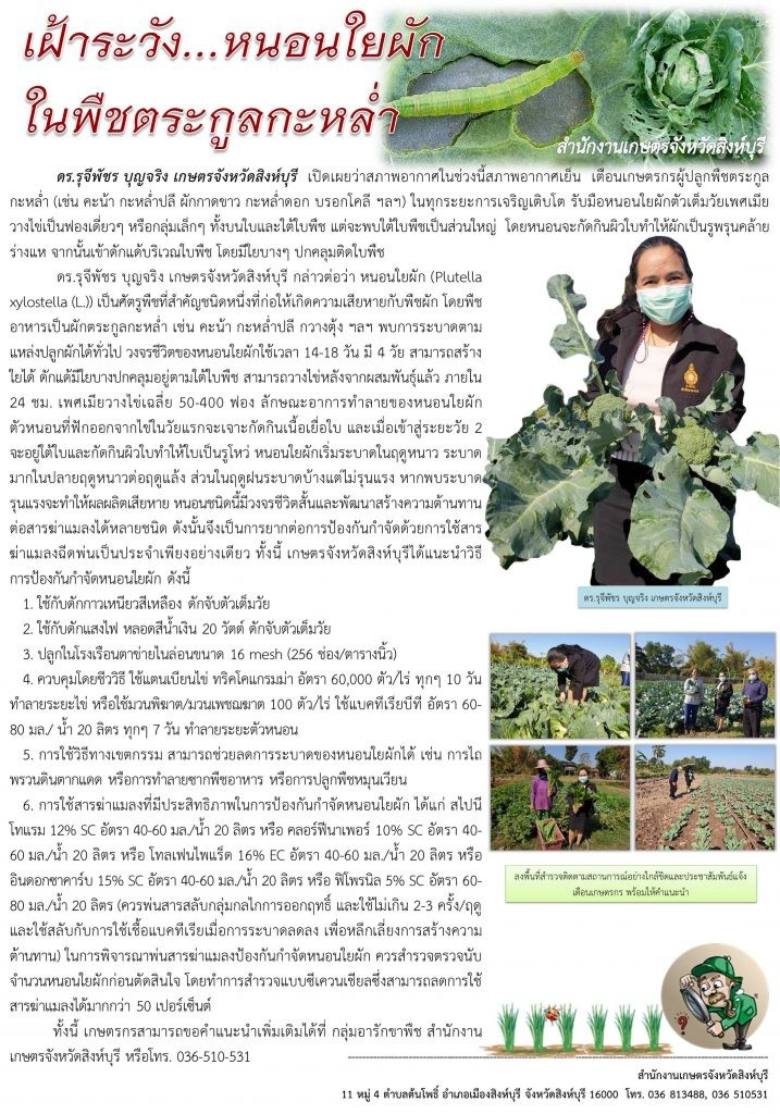 บทความทางการเกษตร