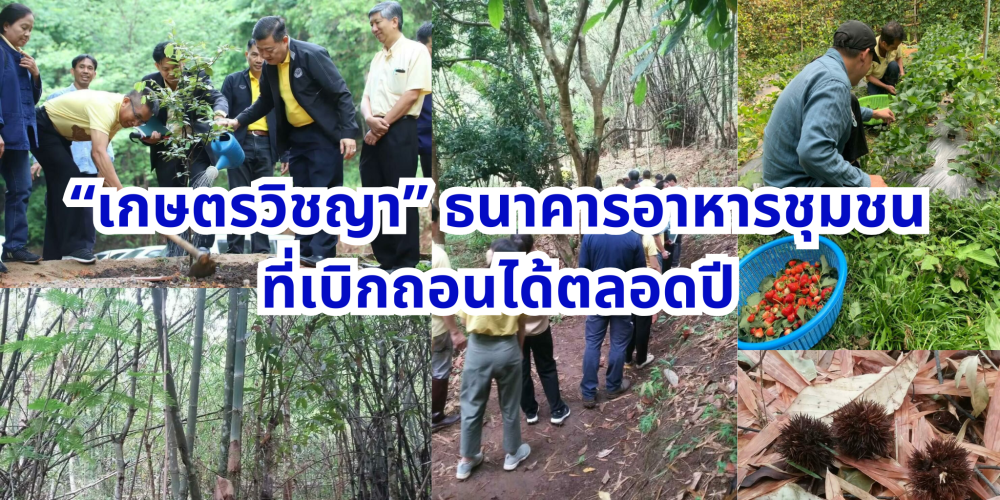 “เกษตรวิชญา” ธนาคารอาหารชุมชนที่เบิกถอนได้ตลอดปี