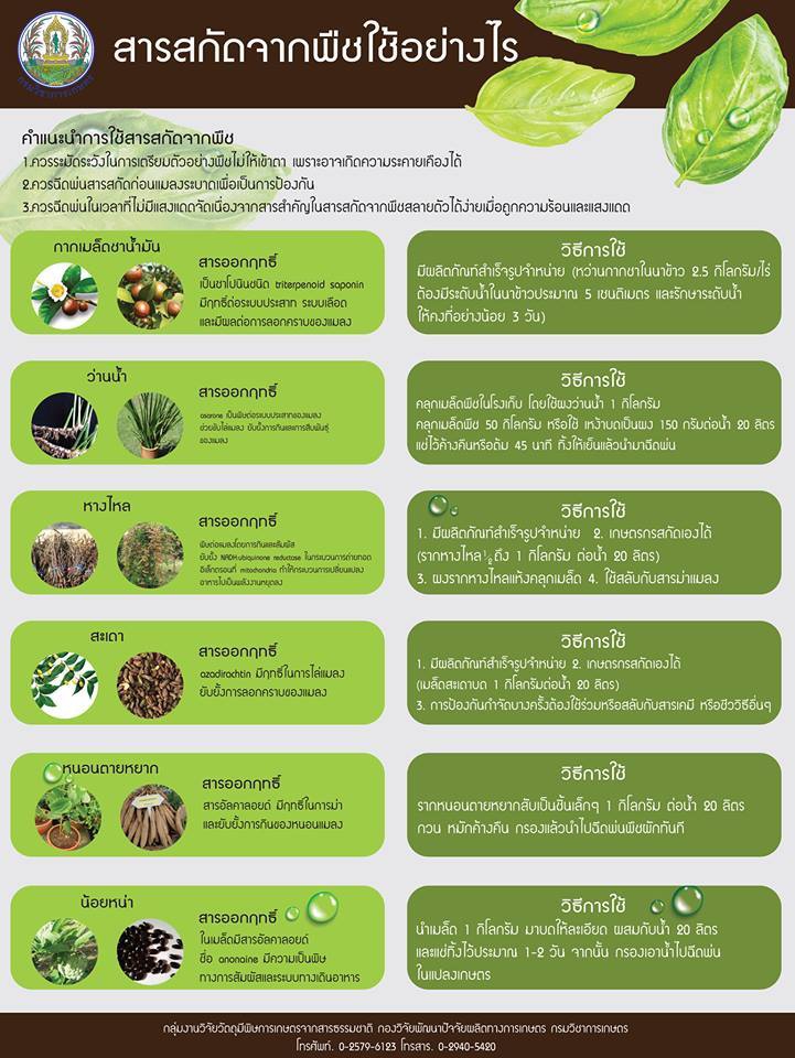 สารสกัดจากพืช ใช้อย่างไร?