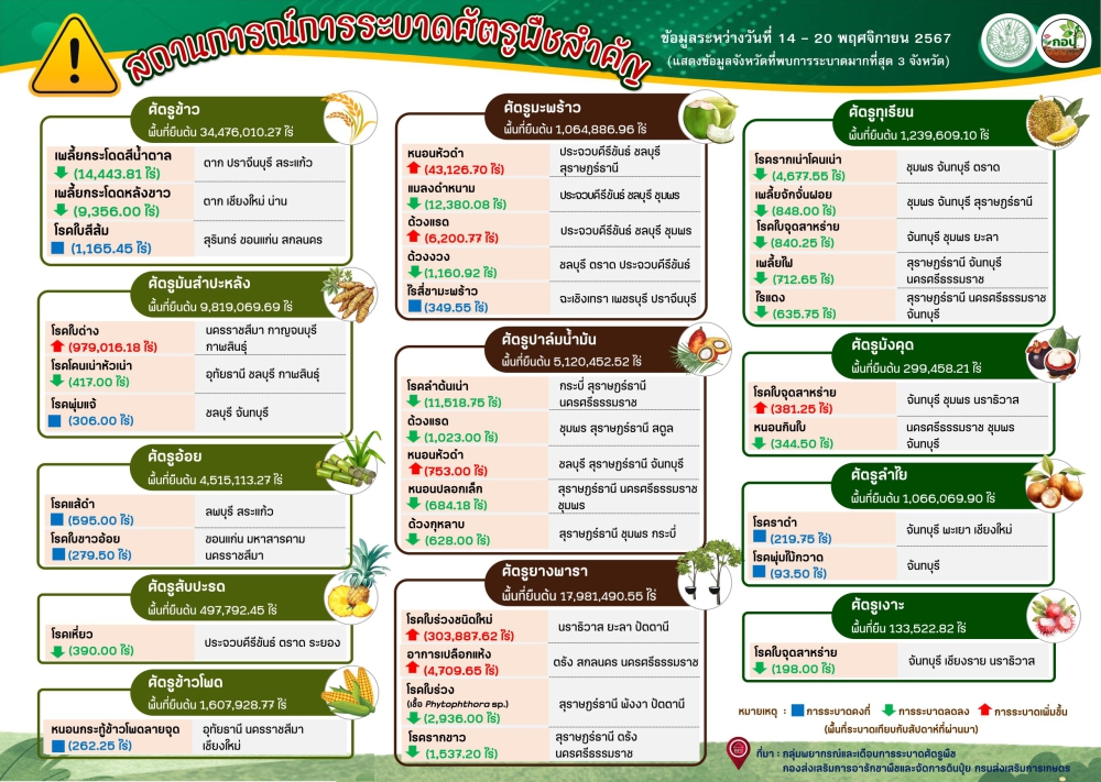 สรุปสถานการณ์การระบาดศัตรูพืชสำคัญ