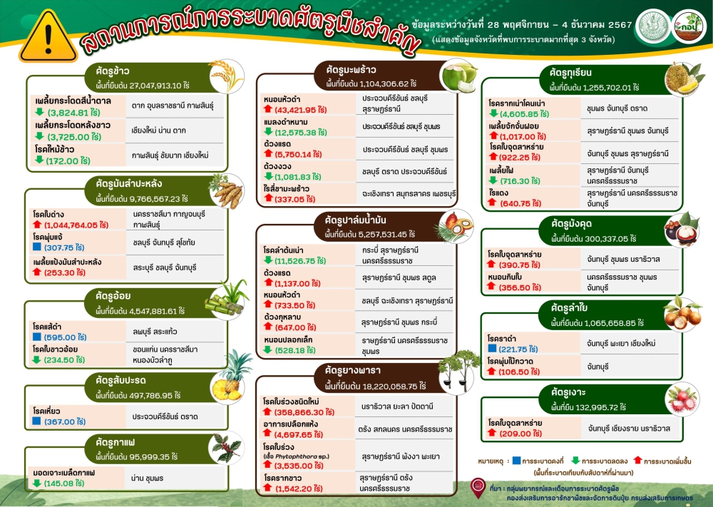 สรุปสถานการณ์การระบาดศัตรูพืชสำคัญ