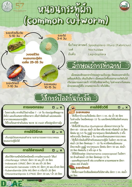 กรมส่งเสริมการเกษตรเตือนระวัง