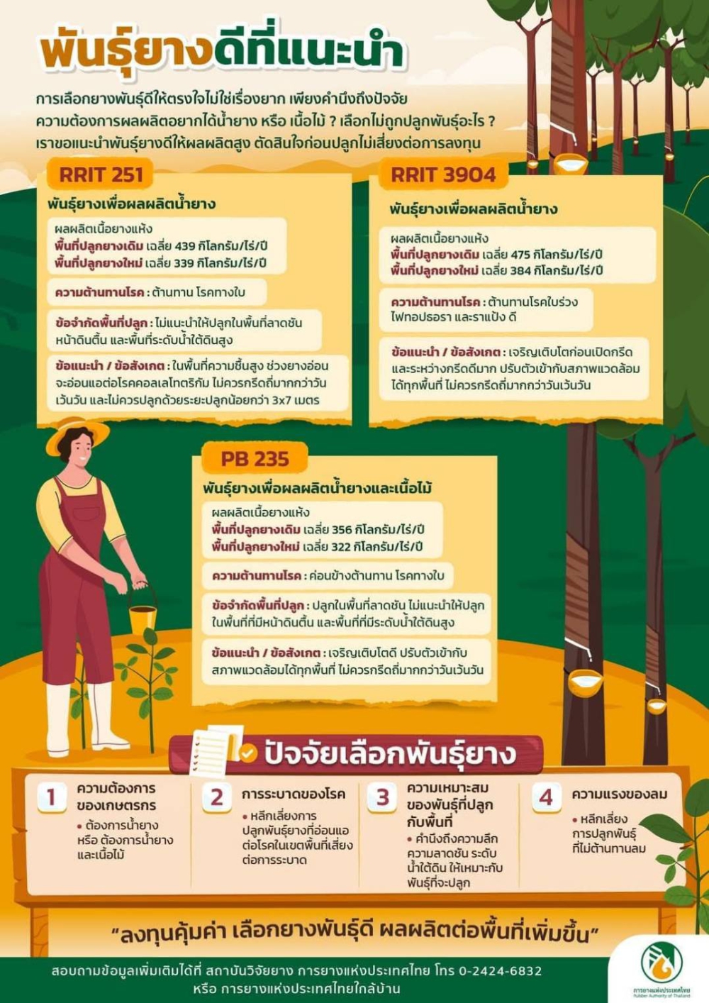 พันธุ์ยางพาราที่แนะนำ