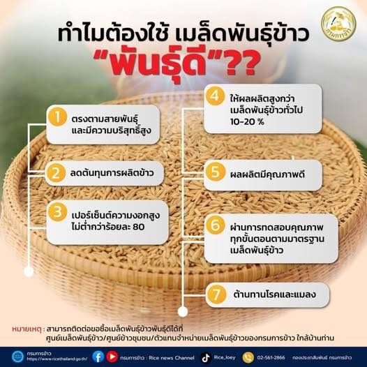 ทำไมต้องใช้ เมล็ดพันธุ์ข้าว พันธุ์ดี