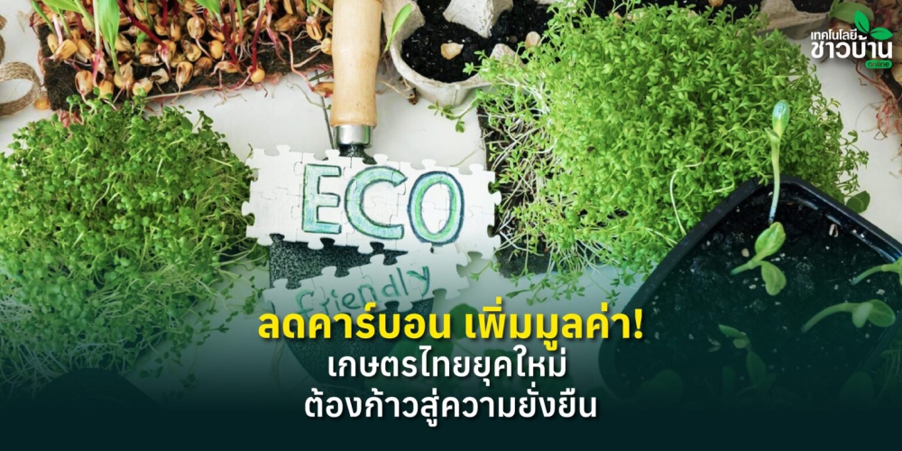 ลกคาร์บอนเพิ่มมูลค่า!เกษตรไทยยุคใหม่