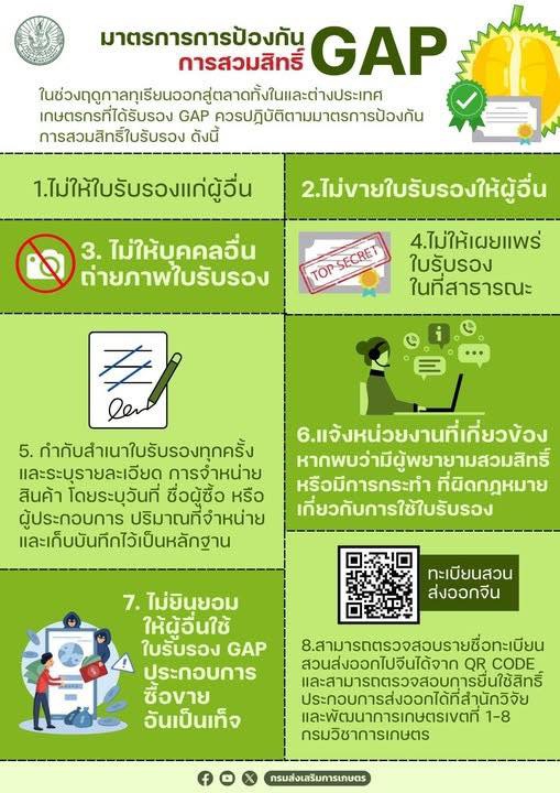 มาตรการการป้องกันการสวมสิทธิ์ GAP ในฤดูกาลทุเรียน