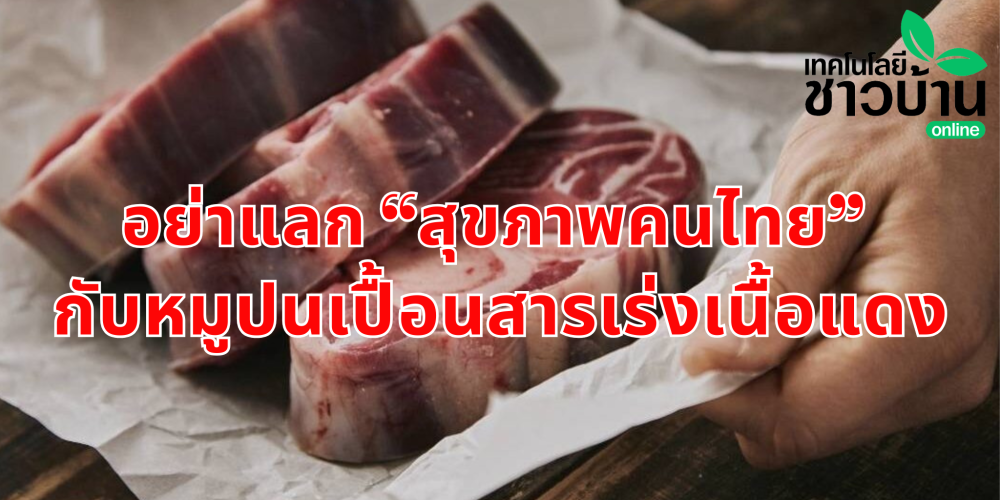 อย่าแลกสุขภาพคนไทยกับหมูปนสารเร่งเนื้อแดง