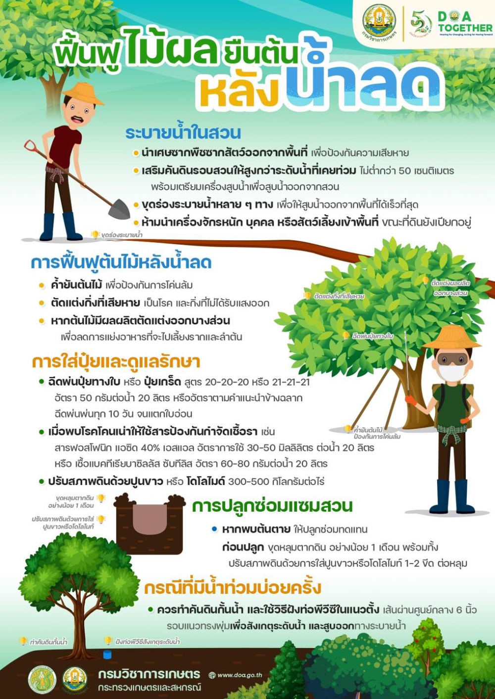 ฟื้นฟูไม้ผลยืนต้น หลังน้ำลด