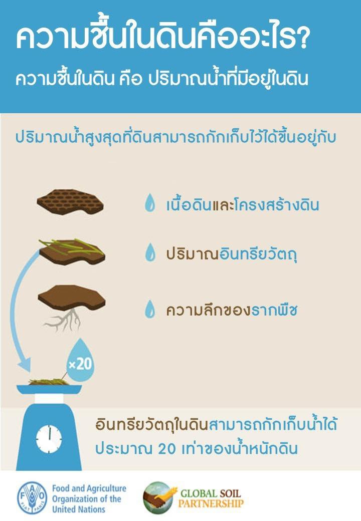 ความชื้นในดินคืออะไร