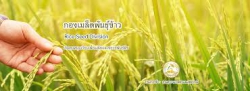 กองเมล็ดพันธุ์ข้าว  กรมการข้าว
