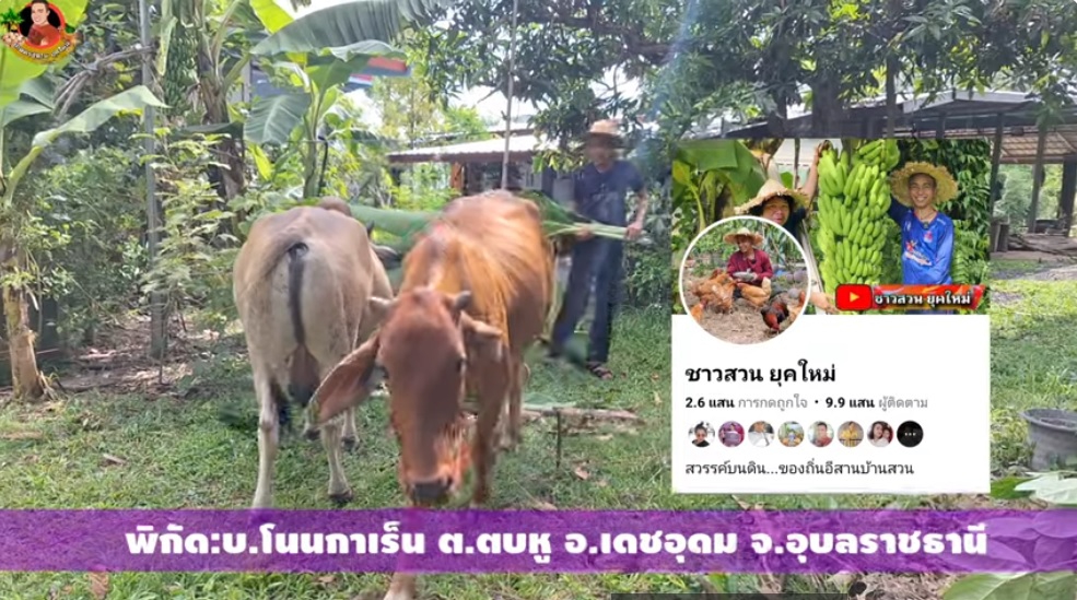 เเหล่งอาหารจุใจพื้นที่1ไร่!!