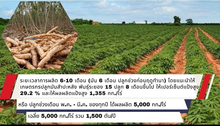 โครงการขับเคลื่อนการเกษตรระดับหมู่บ้าน