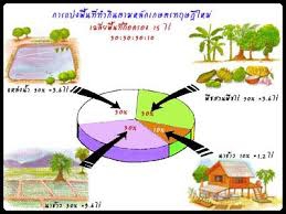 เกษตรทฤษฎีใหม่พื้นที่