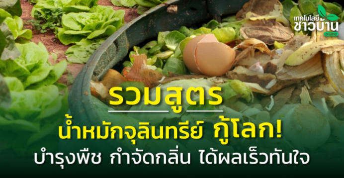 ทำเกษตรอย่างไร ให้ตลาดวิ่งมาหาถึงสวน