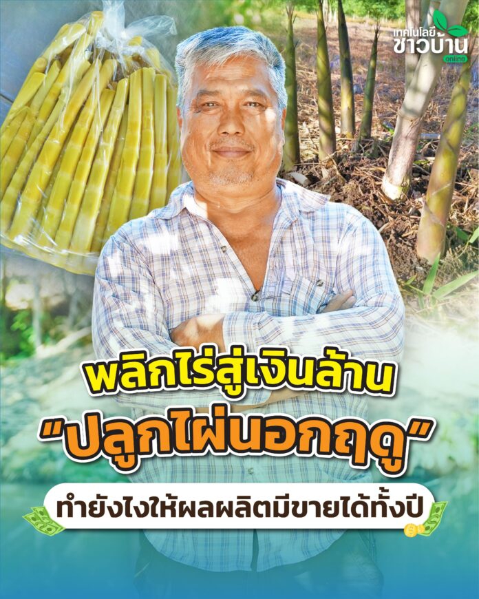 พลิกไร่สู่เงินล้าน