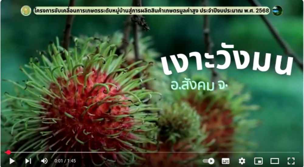 เกษตรมูลค่าสูงรายสินค้า(เงาะ)อำเภอสังคม