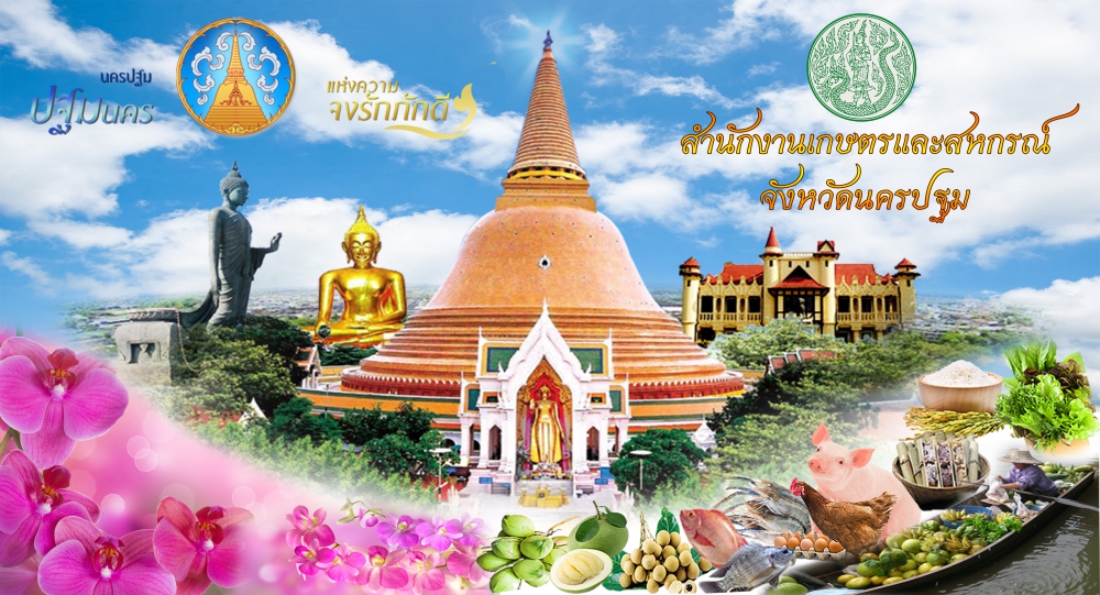 ข้อมูลพื้นฐานจังหวัด