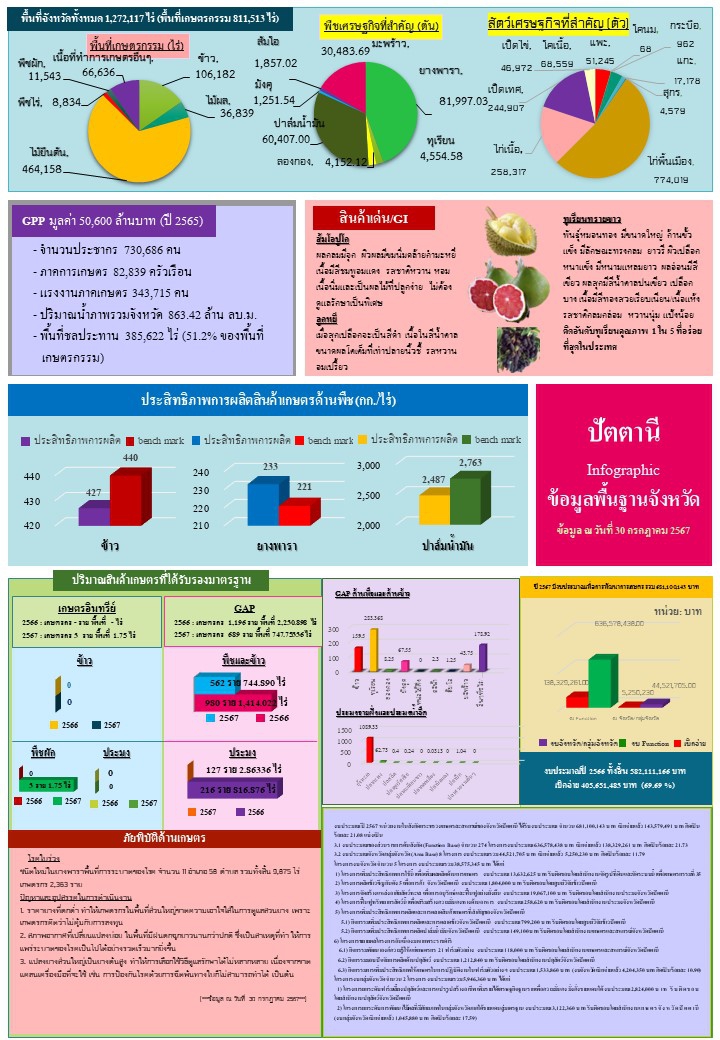 ข้อมูลพื้นฐานจังหวัดที่ใช้สนับสนุนการตรวจราชการและครม.สัญจร