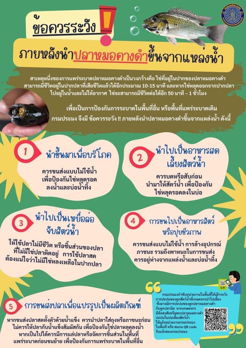 ข้อควรระวัง ภายหลังนำ ปลาหมอคางดำ ขึ้นจากแหล่งน้ำ