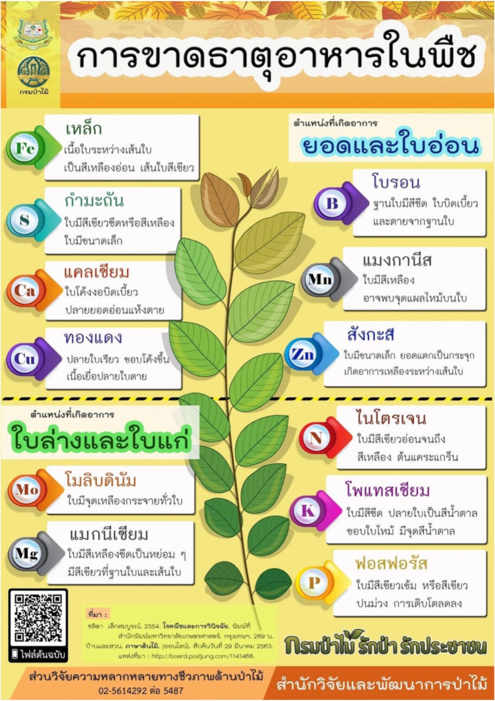 การขาดธาตุอาหารของพืช