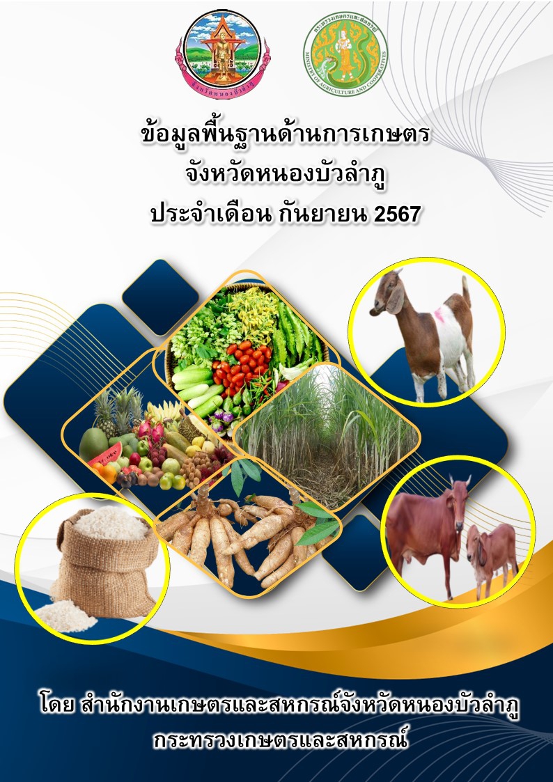 ข้อมูลพื้นฐานจังหวัดหนองบัวลำภู