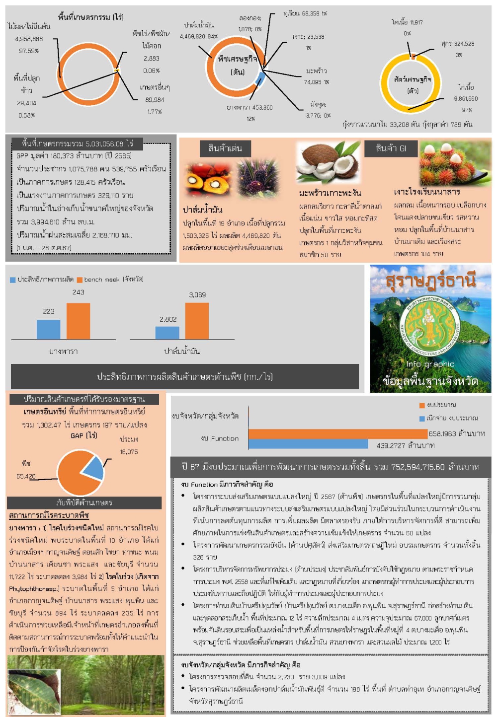 ข้อมูลพื้นฐานจังหวัดสุราษฎร์ธานี