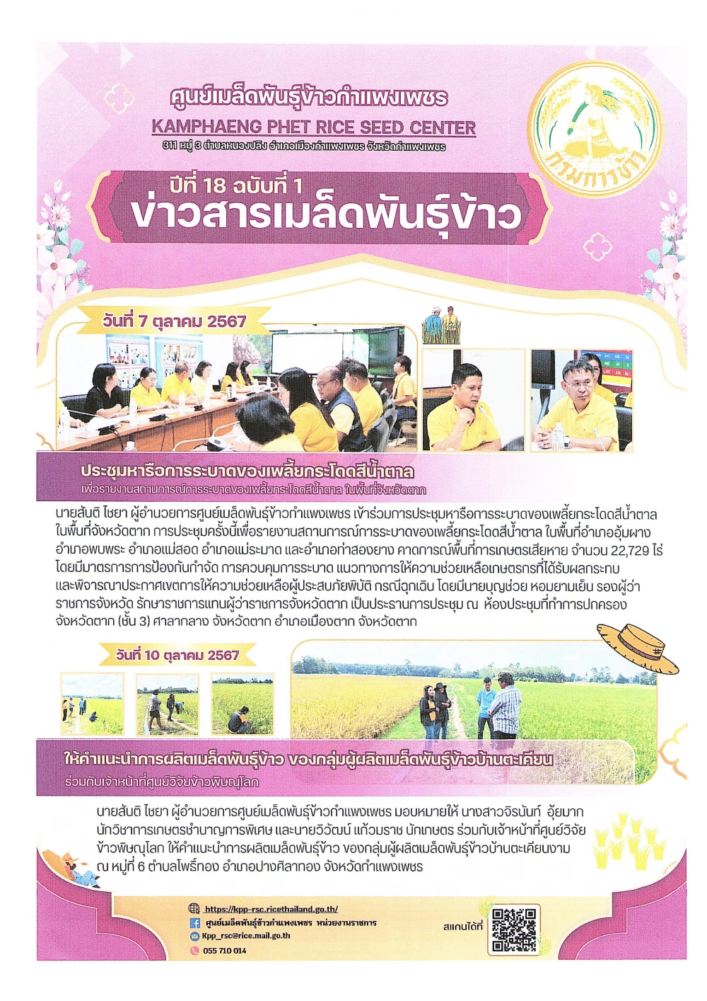 ข่าวสารเมล็ดพันธุ์ข้าว ประจำเดือนตุลาคม 2567