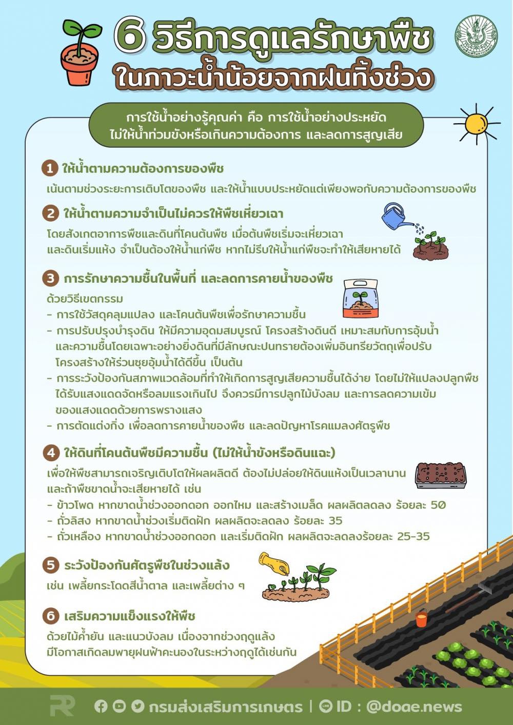 6 วิธีการดูแลรักษาพืช ในภาวะน้ำน้อยจากฝนทิ้งช่วง