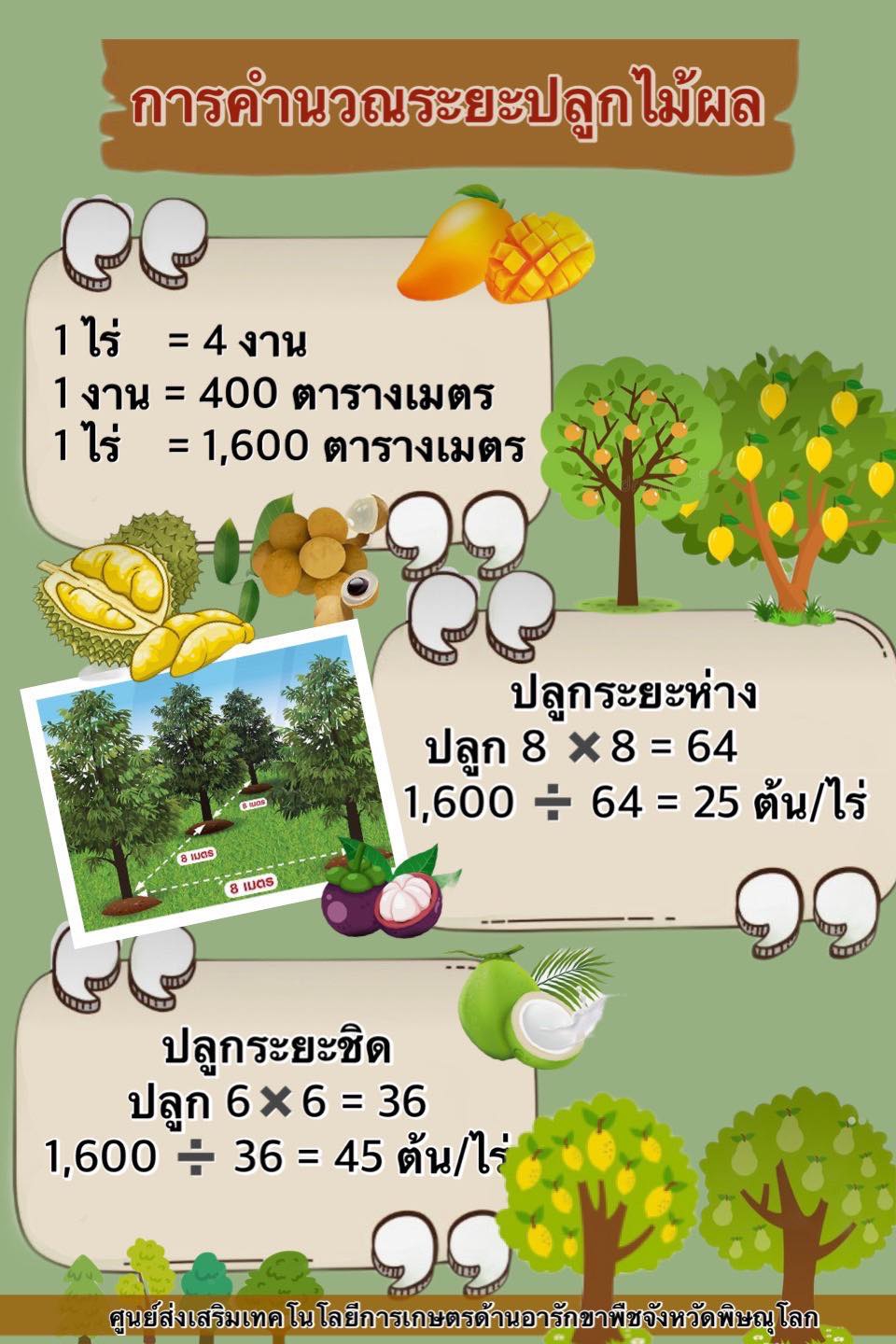 วิธีการคำนวณระยะปลูกไม้ผล