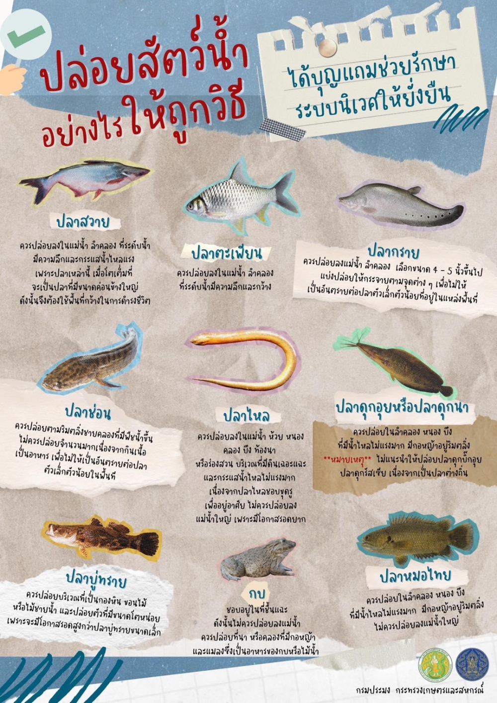 ปล่อยสัตว์น้ำอย่างไร....ให้ถูกวิธี