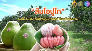 ส้มโอปูโกยะรัง