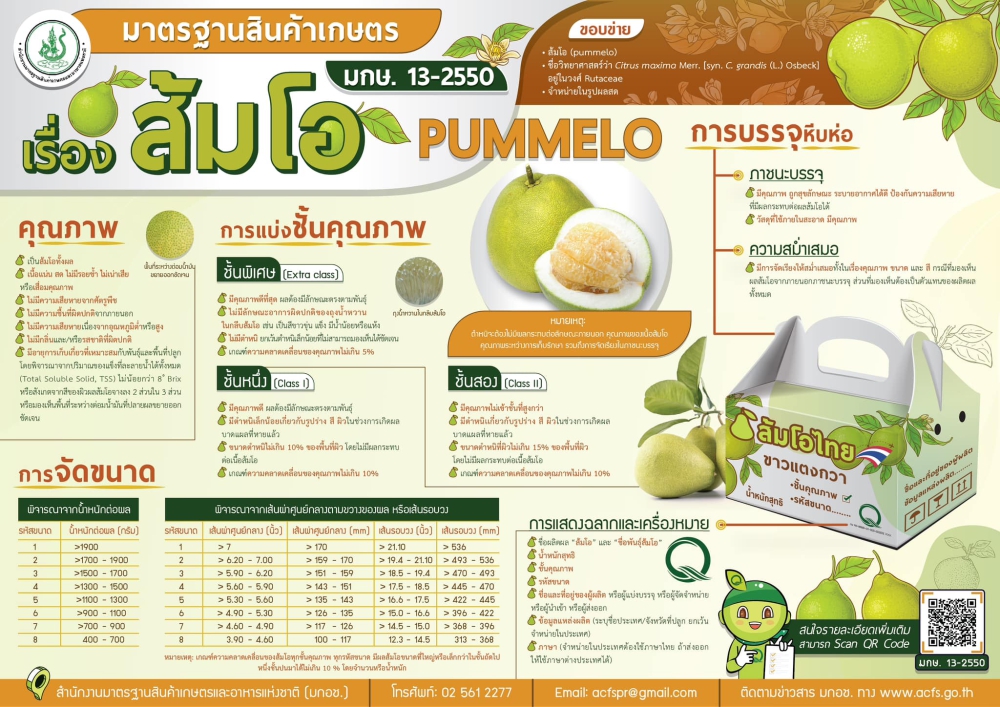 มาตรฐานสินค้าเกษตรส้มโอ (PUMMELO) มกษ. 13-2550