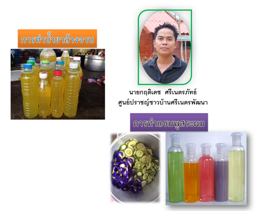 การทำน้ำยาล้างจานและแชมพูสระผม