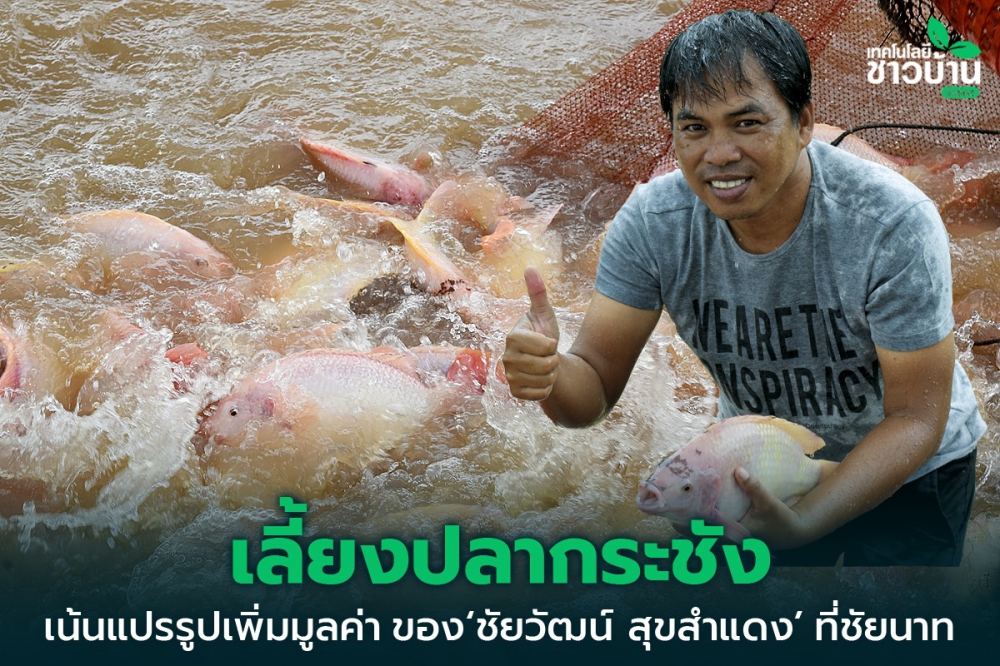 ประชาสัมพันธ์เลี้ยงปลากระชัง